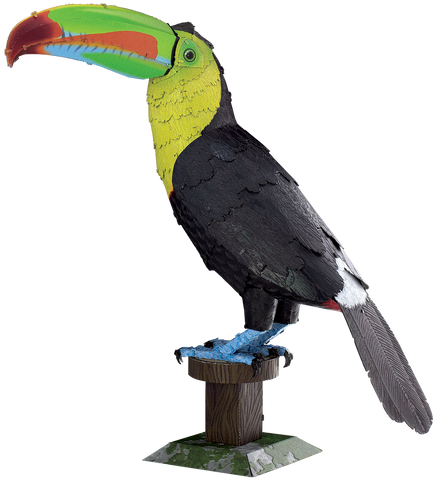 Keel-Billed Toucan