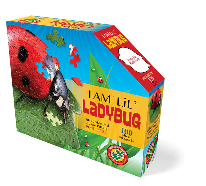 I AM Lil' Ladybug